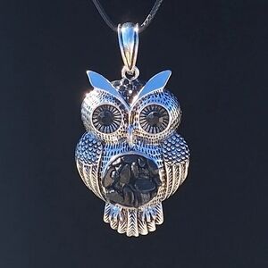 Chic Silver and Black Owl Pendant Necklace